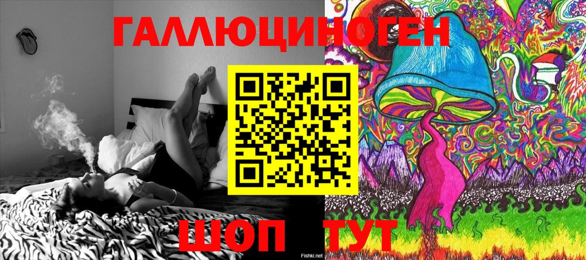 Галлюциногенные грибы Psilocybine cubensis Сердобск