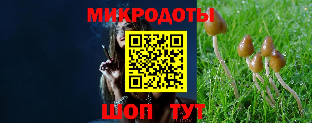 Галлюциногенные грибы ЛСД  Вход с VPN  Галлюциногенные грибы мухоморы  Сердобск 